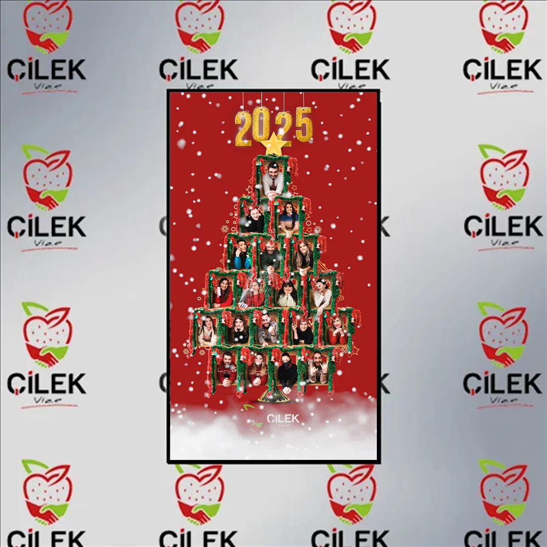 🎄 2025'e Özel Çilek Vize Yılbaşı Ağacı! 🍓 KARTONGİLLER 🎅🤶